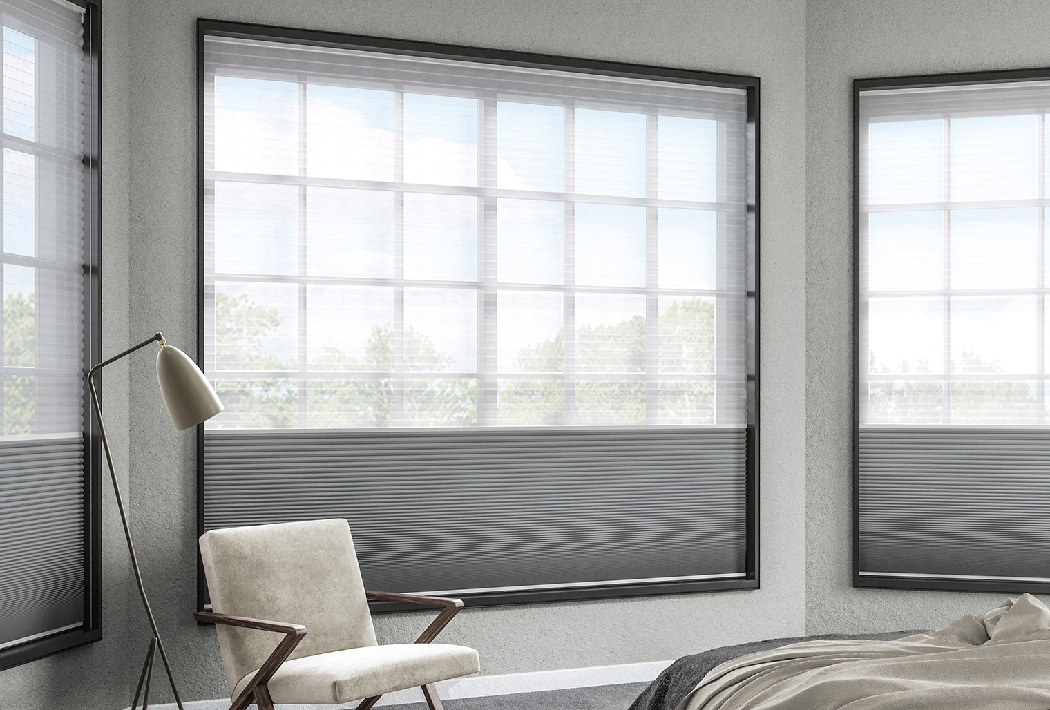 Top-Down Bottom-Up Pleated Blinds