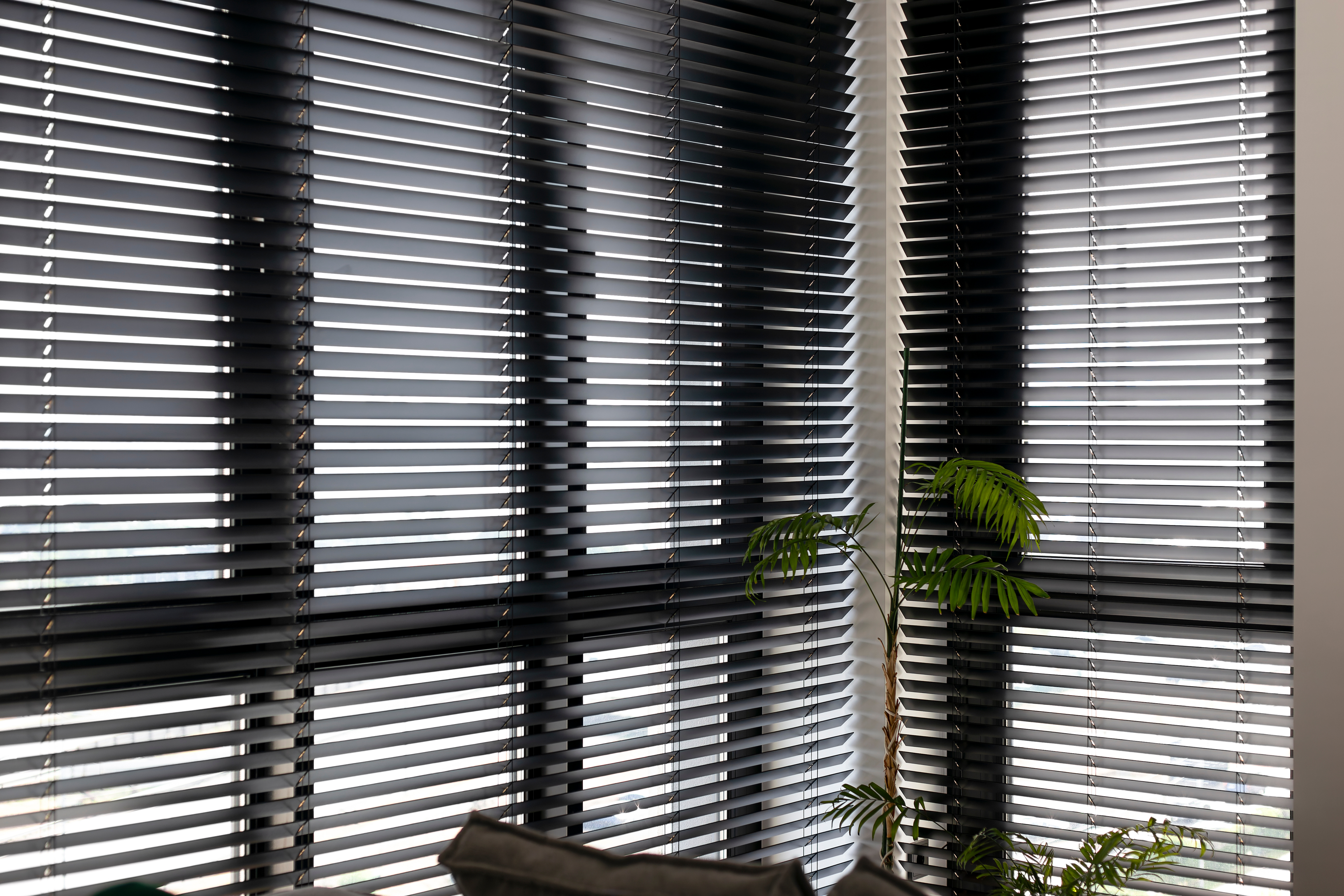 Glare Control Venetian Blinds