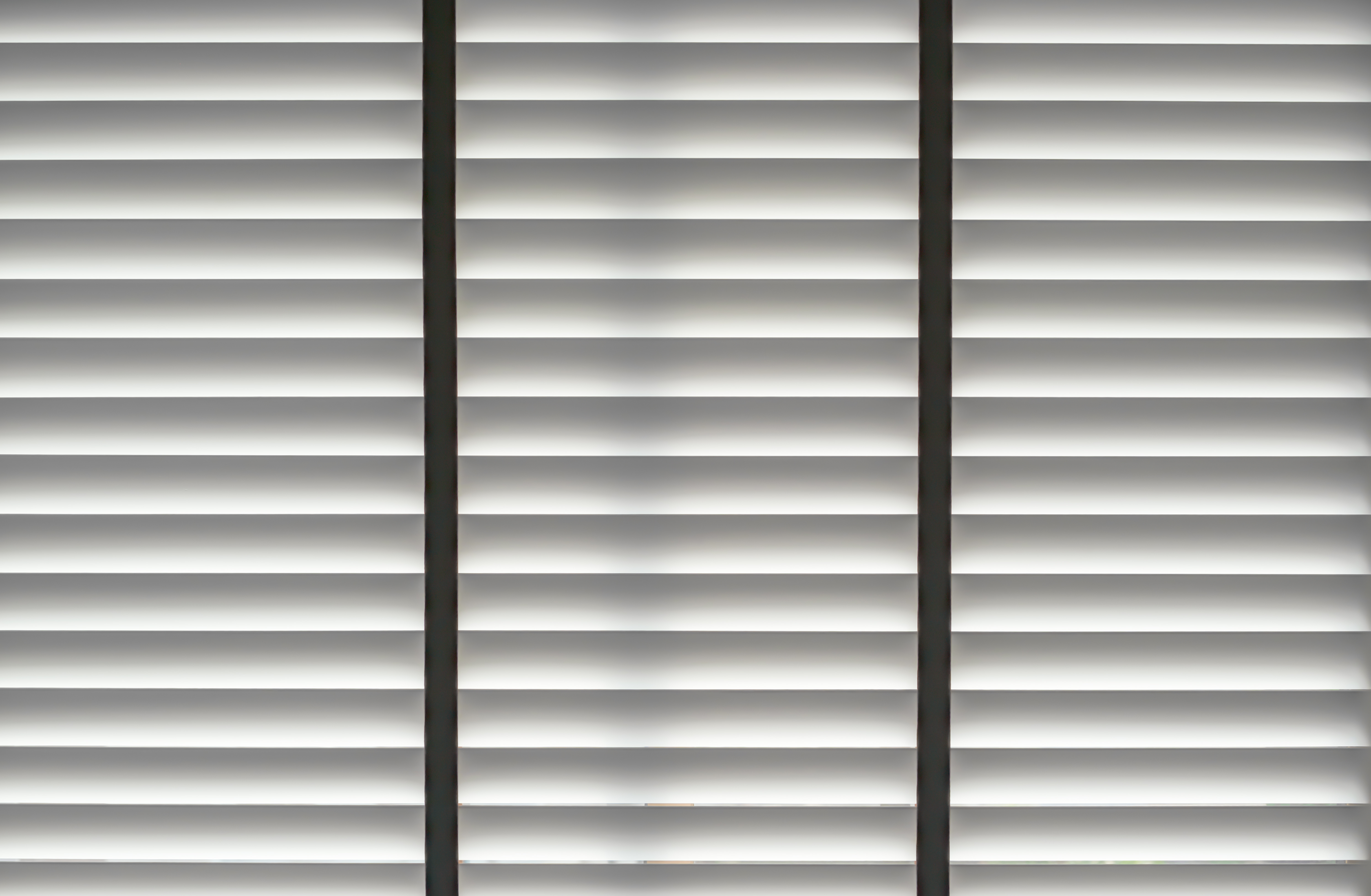 Privacy and Light Control Venetian Blinds